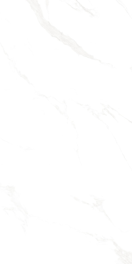 Marble Carrara Matte Satin 24x48
