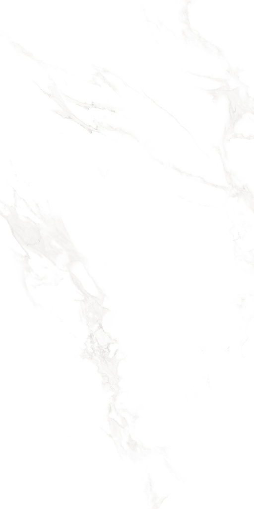 Marble Carrara Matte Satin 24x48