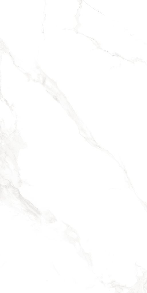 Marble Carrara Matte Satin 24x48