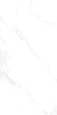Marble Carrara Matte Satin 24x48