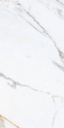 Carrara Venice 24X48