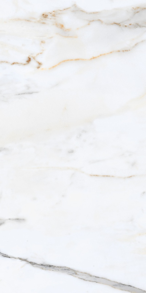 Carrara Venice 24X48