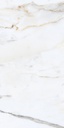 Carrara Venice 24X48