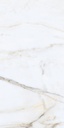 Carrara Venice 24X48