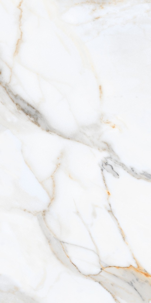 Carrara Venice 24X48