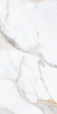 Carrara Venice 24X48