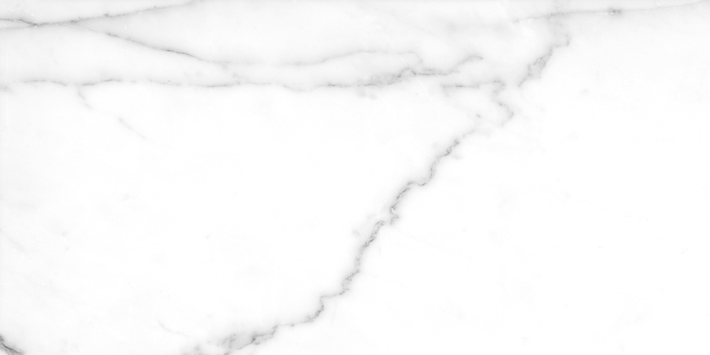 Tholos White Polished 24X48