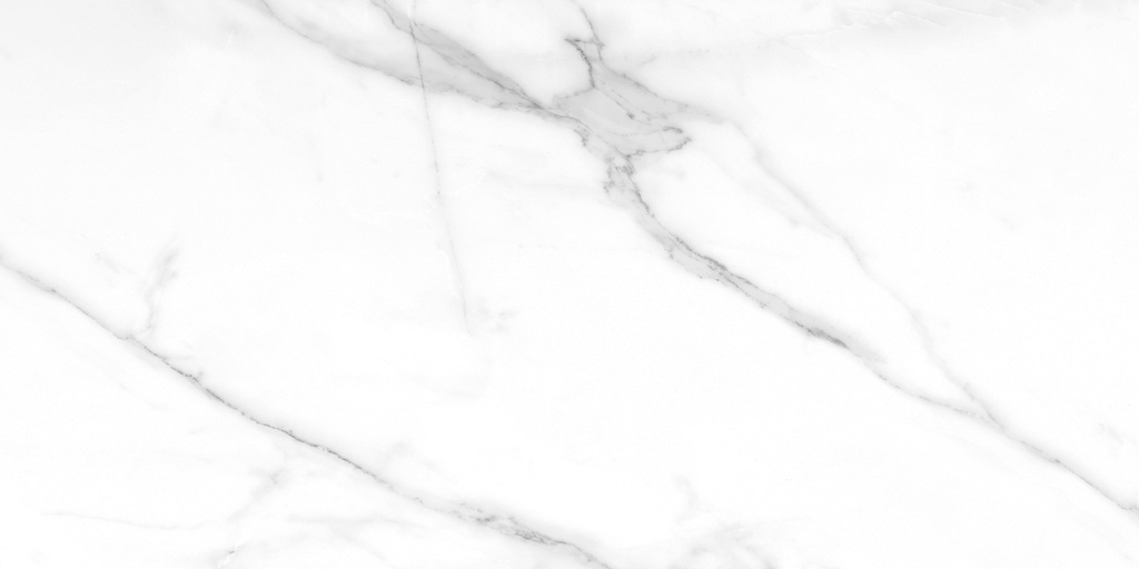 Tholos White Polished 24X48