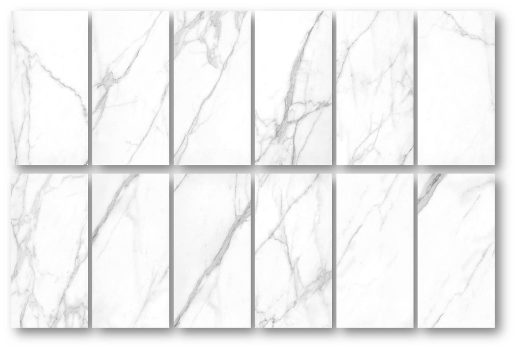 Tholos White Polished 24X48