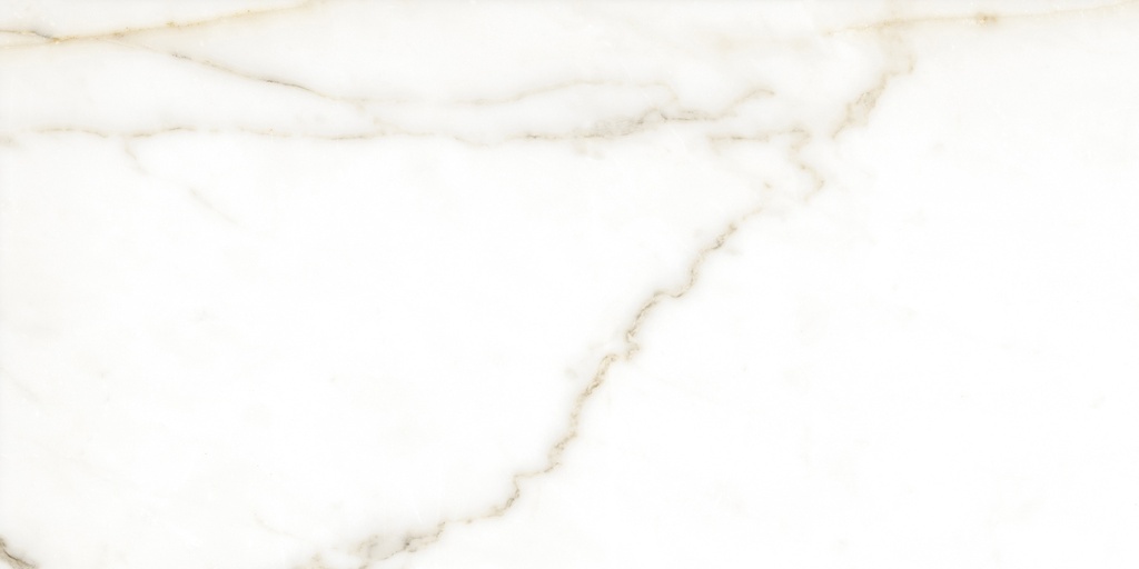 Tholos Gold Polished 24X48