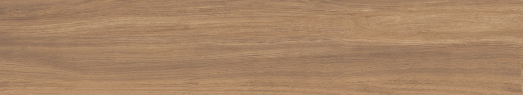 Argentario Miele 8x48