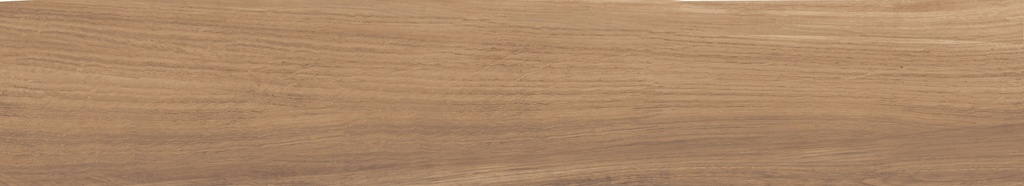 Argentario Miele 8x48
