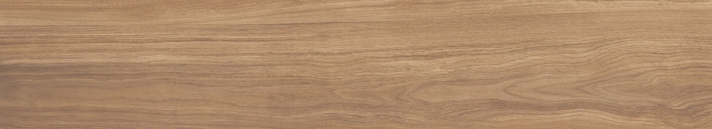 Argentario Miele 8x48