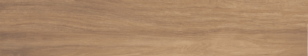 Argentario Miele 8x48