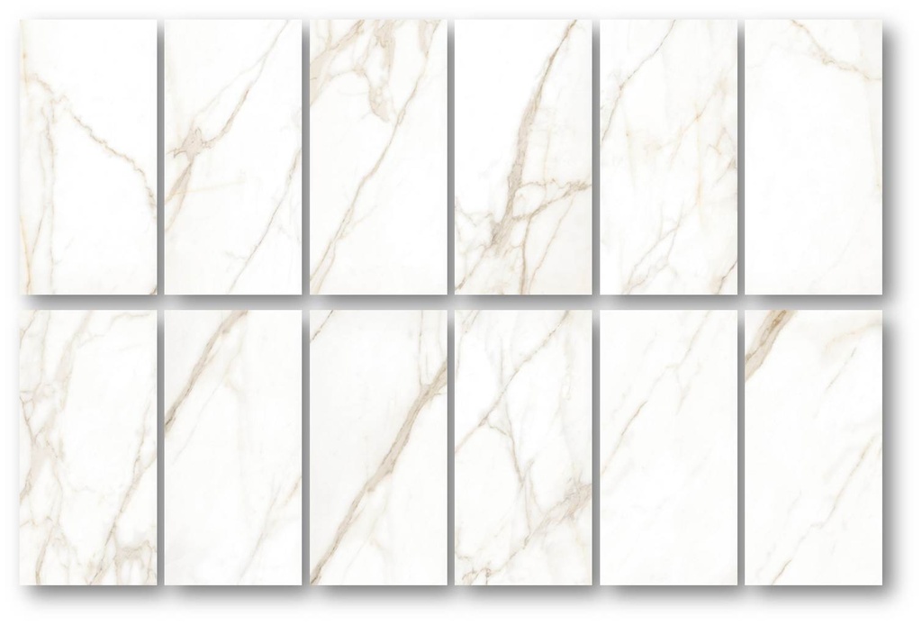 Tholos Gold Polished 24X48