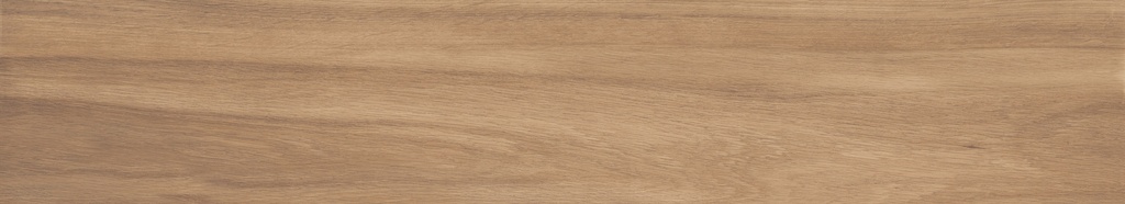 Argentario Miele 8x48