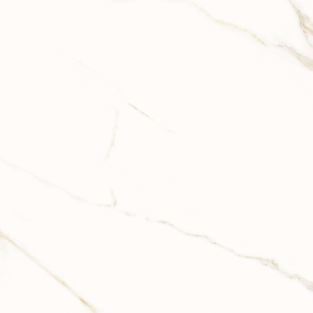 Opera White Polished 36x36