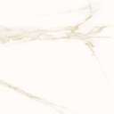 Opera White Polished 36x36