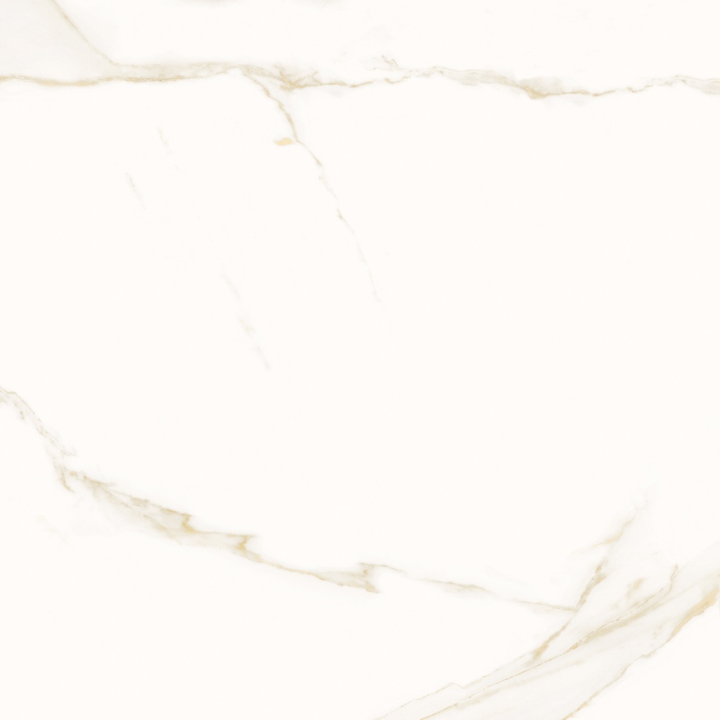 Opera White Polished 36x36