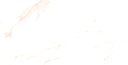 Statuario Dorian Polished 24x48