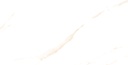 Statuario Dorian Polished 24x48