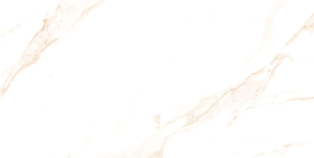 Statuario Dorian Polished 24x48