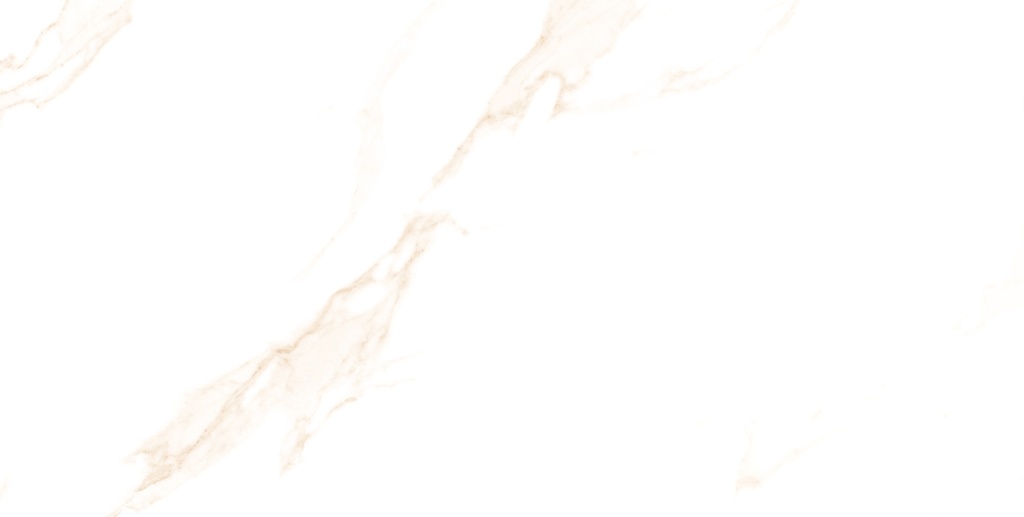 Statuario Dorian Polished 24x48