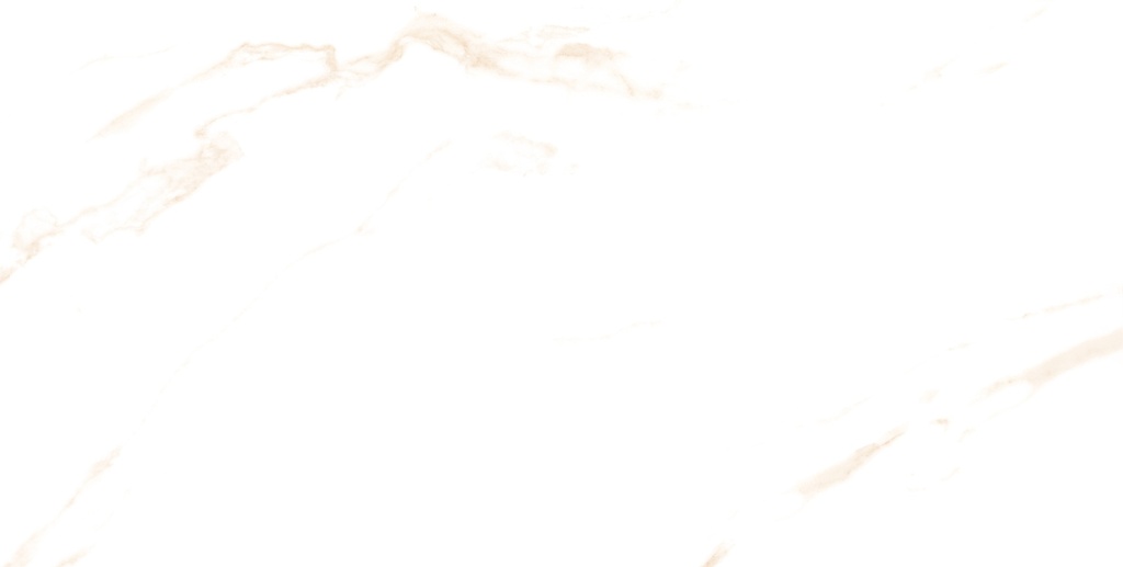 Statuario Dorian Polished 24x48