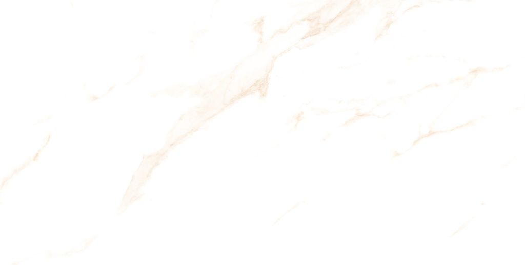 Statuario Dorian Polished 24x48