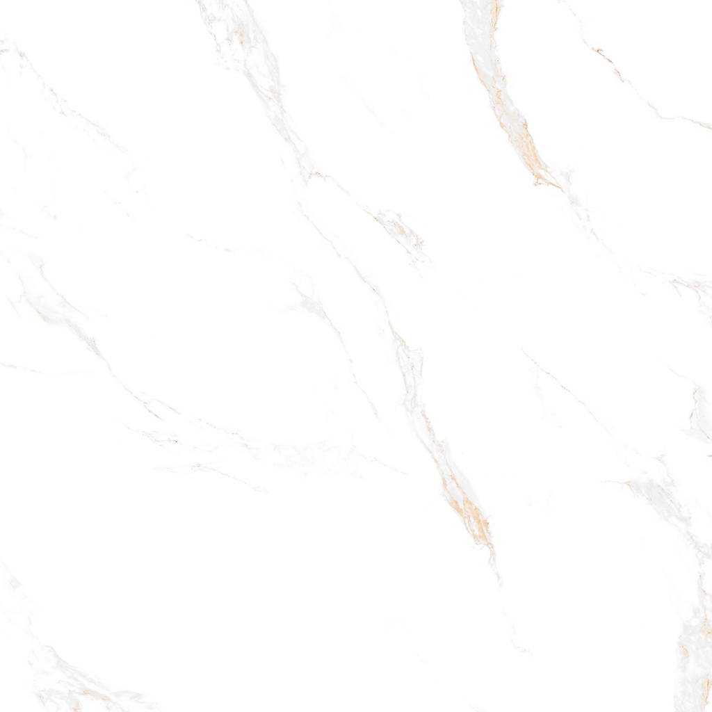Marble Carrara Gold Polished 48x48
