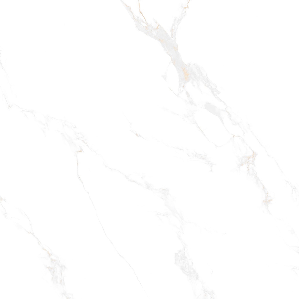 Marble Carrara Gold Polished 48x48