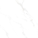 Marble Carrara Gold Polished 48x48