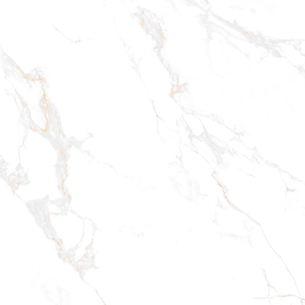 Marble Carrara Gold Polished 48x48