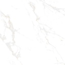 Marble Carrara Gold Polished 48x48