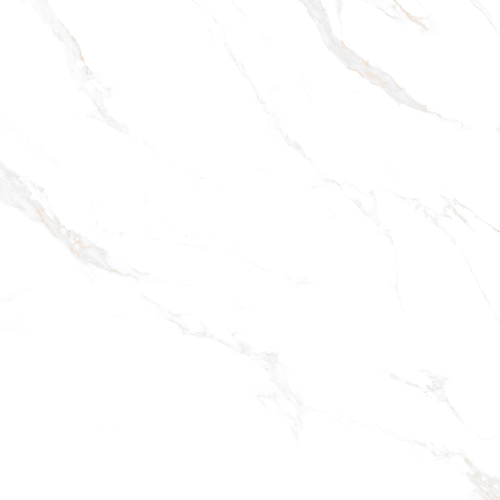 Marble Carrara Gold Polished 48x48
