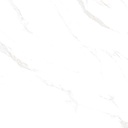 Marble Carrara Gold Polished 48x48