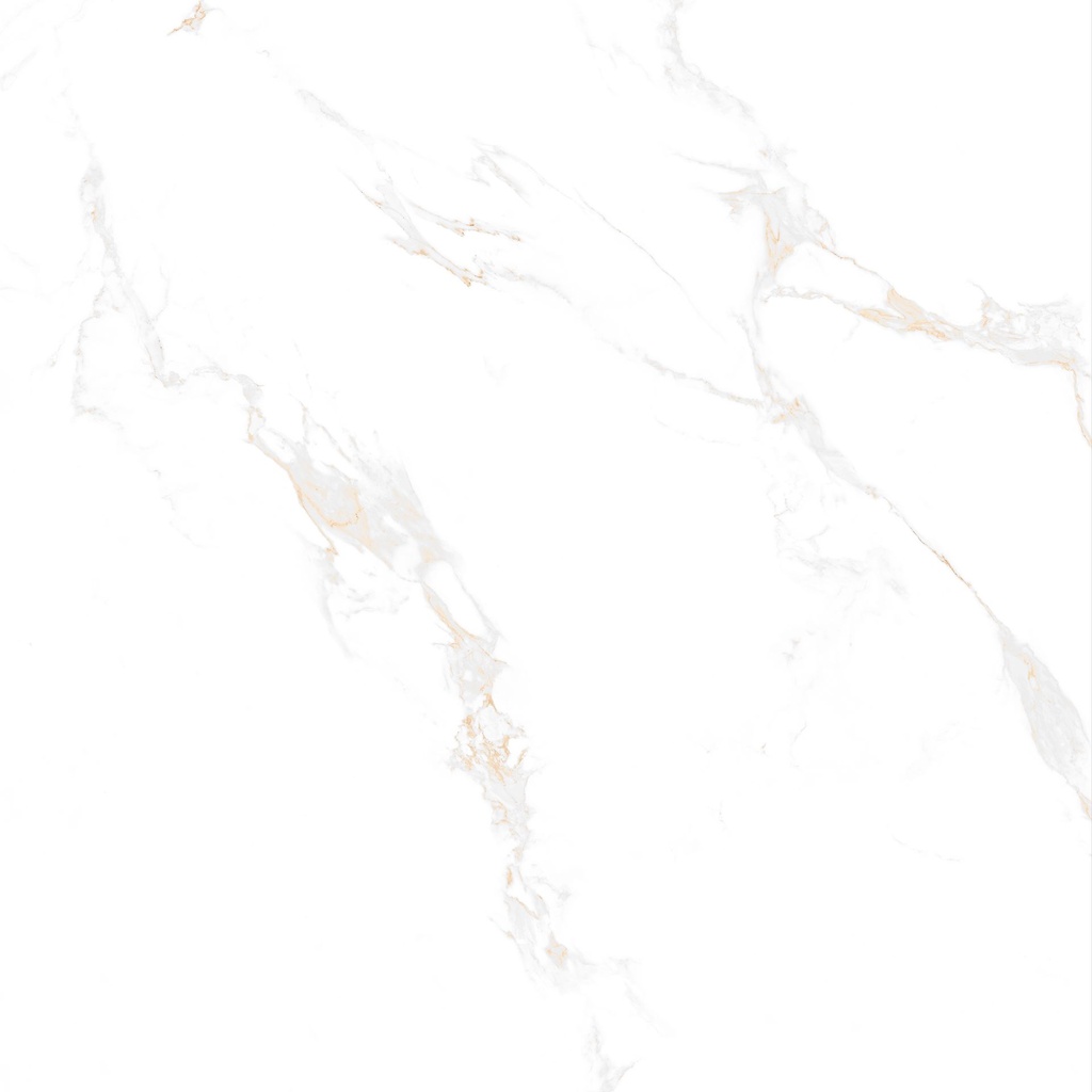 Marble Carrara Gold Polished 48x48