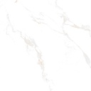 Marble Carrara Gold Polished 48x48