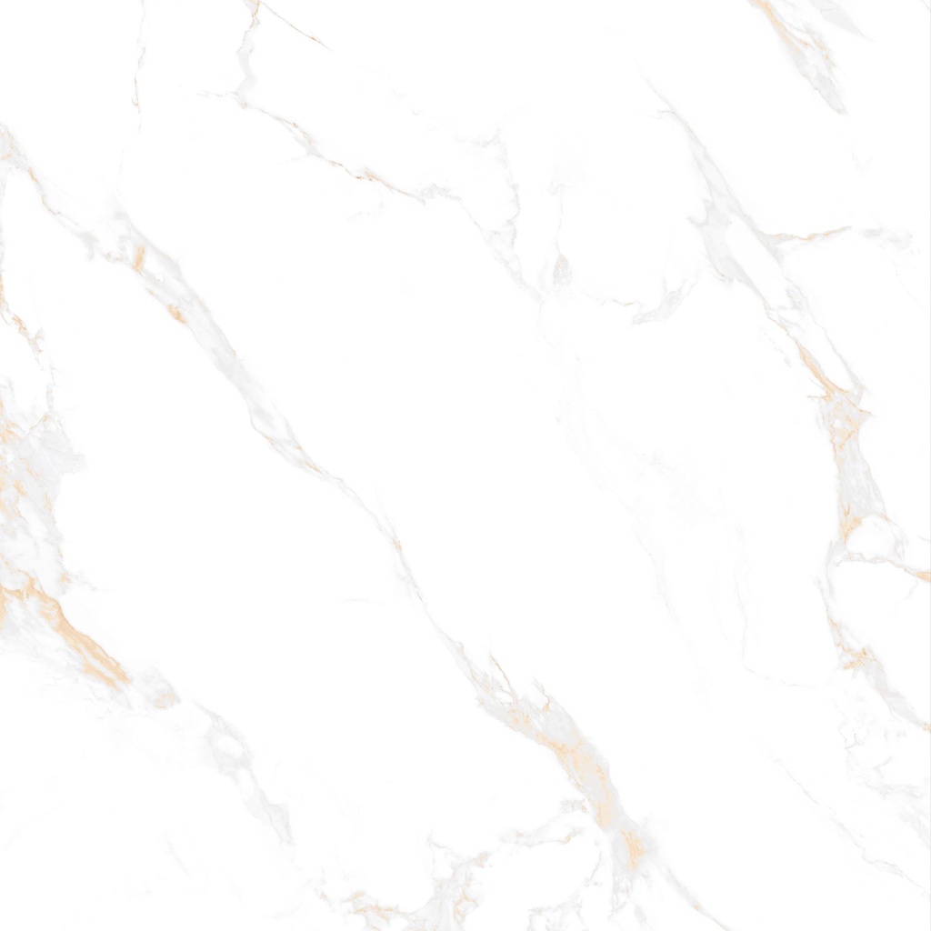 Marble Carrara Gold Polished 48x48