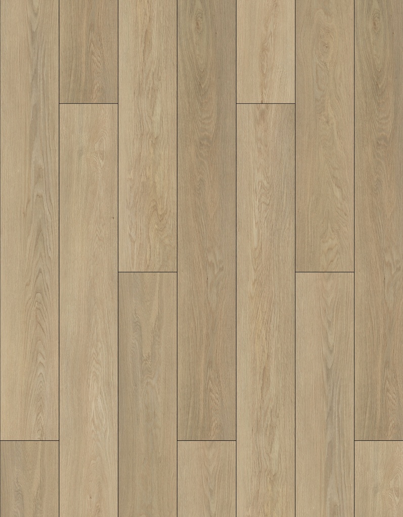 SPC Eterna Oak Natural