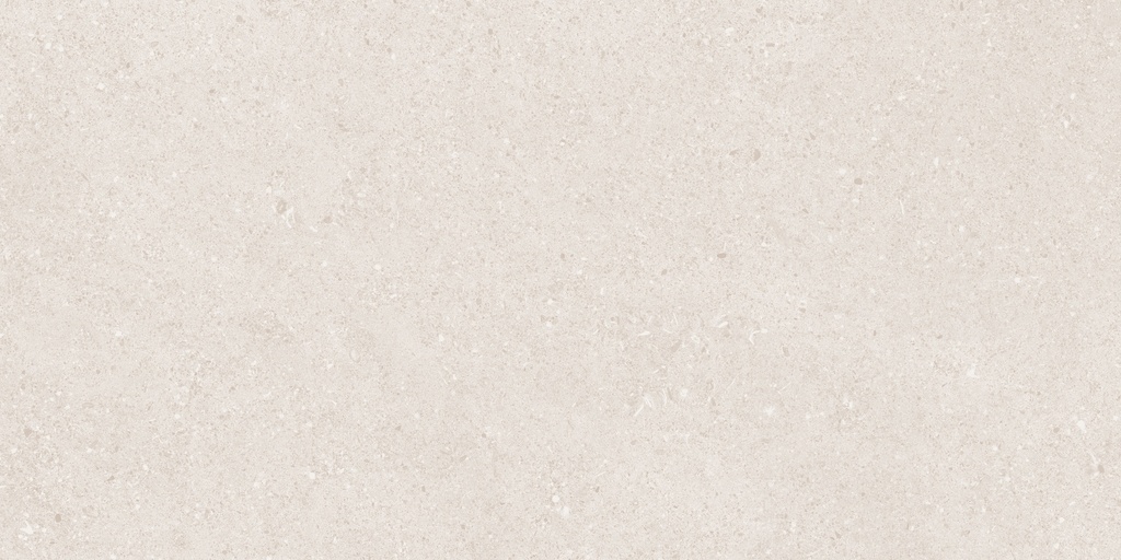 Babel Bone 24x48