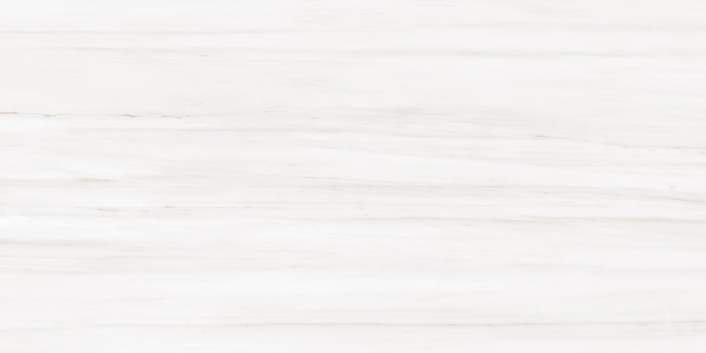 Nimbus Ivory Satin 24x48