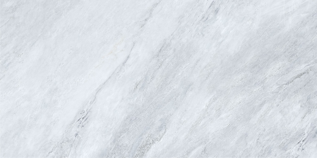 Galaxia Gray Polished 24x48 TC6012A0220