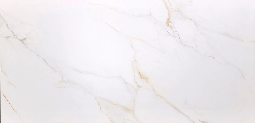 Paraty Gold Matte 24x48 TP6012A0220
