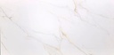 Paraty Gold Matte 24x48 TP6012A0220