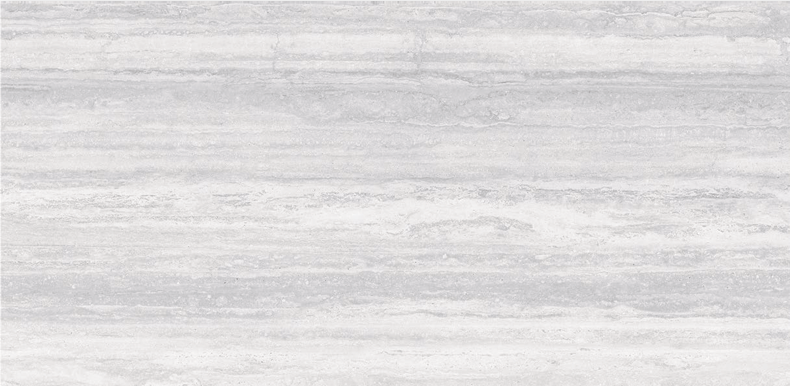 Arcadia Gray Polished 24x48 TC6012A0480