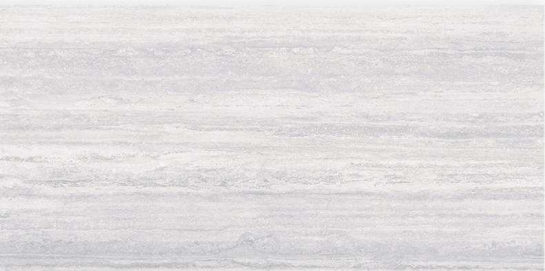 Arcadia Gray Polished 24x48 TC6012A0480