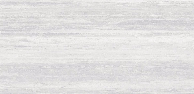Arcadia Gray Polished 24x48 TC6012A0480