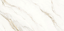Carrara Gold 24x48 TC6012A0140
