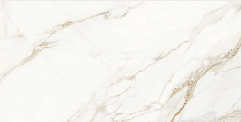 Carrara Gold 24x48 TC6012A0140